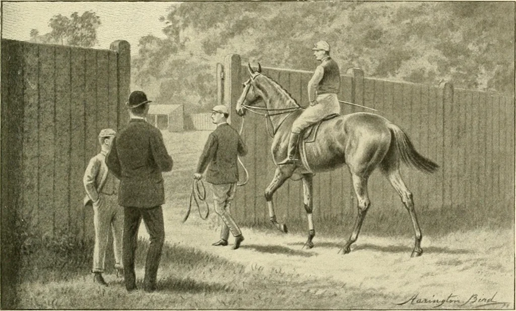 An illustration from The encyclopaedia of sport, 1897, leaf 246
