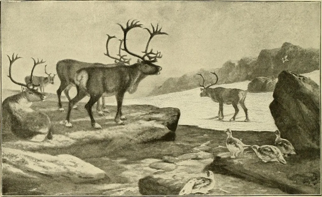 An illustration from The encyclopaedia of sport, 1897, leaf 277