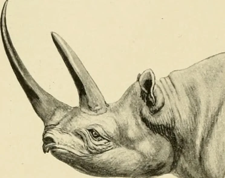 An illustration from The encyclopaedia of sport, 1897, leaf 283