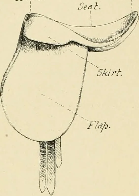 An illustration from The encyclopaedia of sport, 1897, leaf 287