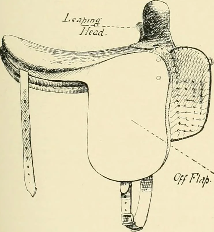 An illustration from The encyclopaedia of sport, 1897, leaf 290