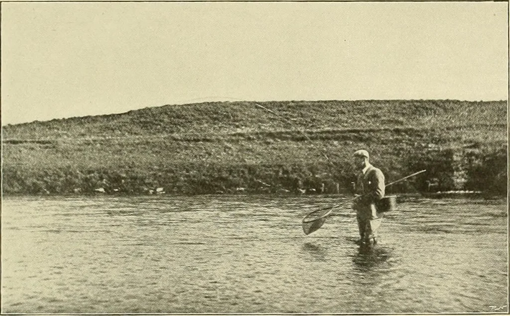 An illustration from The encyclopaedia of sport, 1897, leaf 336