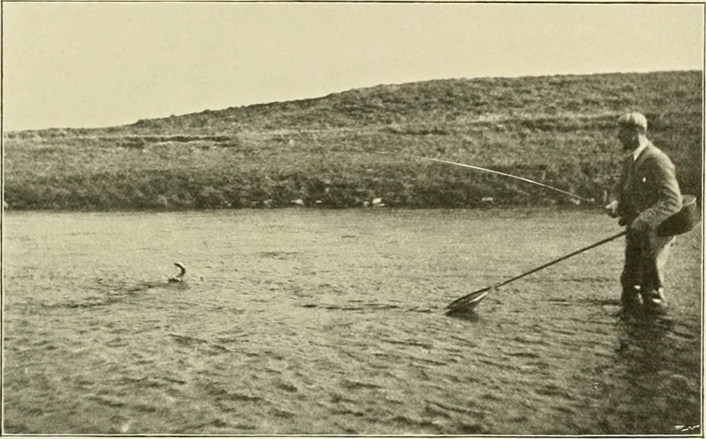 An illustration from The encyclopaedia of sport, 1897, leaf 338