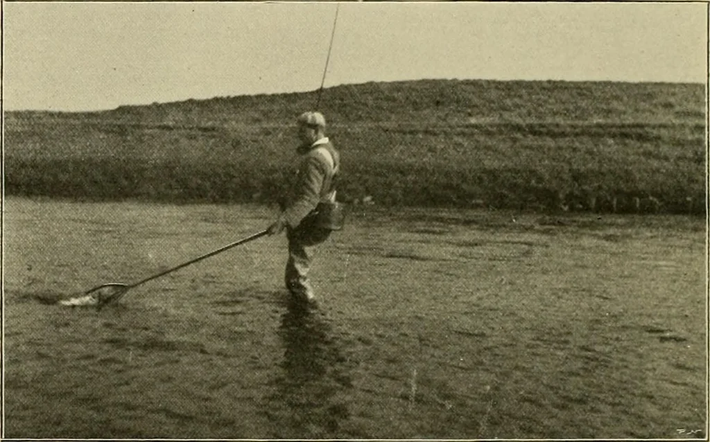An illustration from The encyclopaedia of sport, 1897, leaf 339