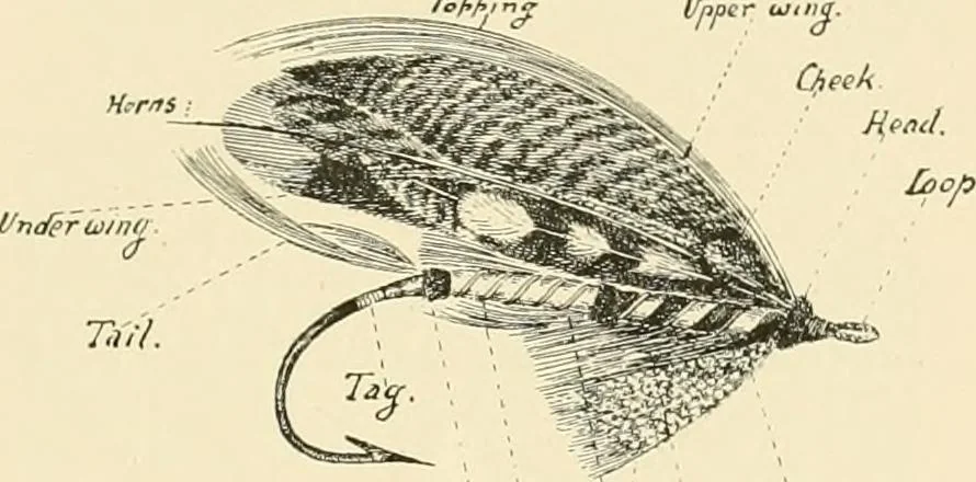 An illustration from The encyclopaedia of sport, 1897, leaf 342