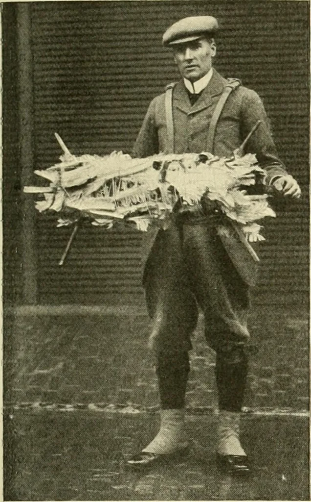 An illustration from The encyclopaedia of sport, 1897, leaf 368