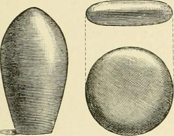An illustration from The encyclopaedia of sport, 1897, leaf 418