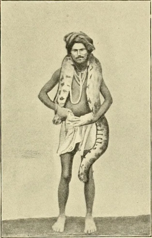 An illustration from The encyclopaedia of sport, 1897, leaf 420