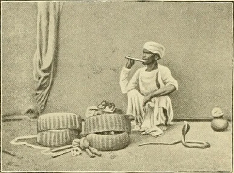 An illustration from The encyclopaedia of sport, 1897, leaf 421