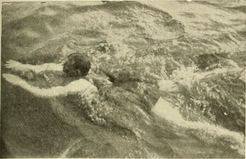 An illustration from The encyclopaedia of sport, 1897, leaf 462