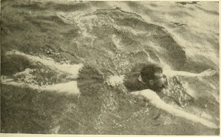 An illustration from The encyclopaedia of sport, 1897, leaf 462