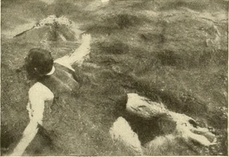 An illustration from The encyclopaedia of sport, 1897, leaf 462