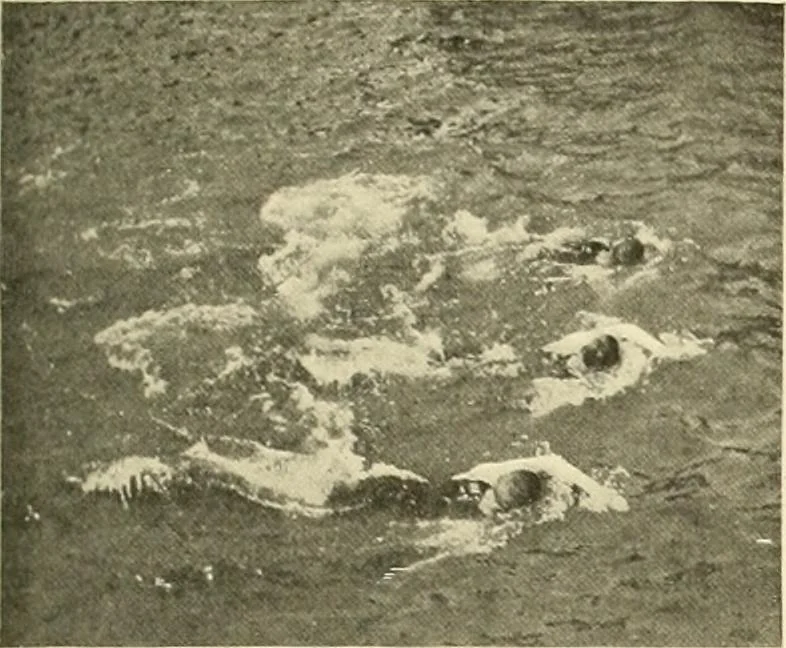 An illustration from The encyclopaedia of sport, 1897, leaf 464