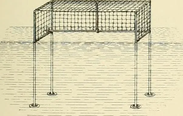 An illustration from The encyclopaedia of sport, 1897, leaf 470