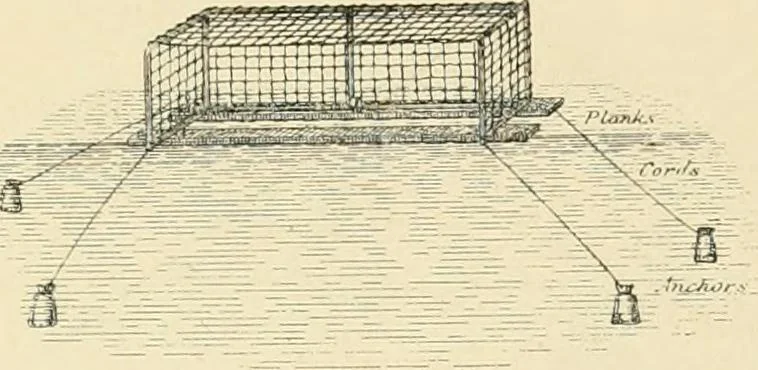 An illustration from The encyclopaedia of sport, 1897, leaf 470