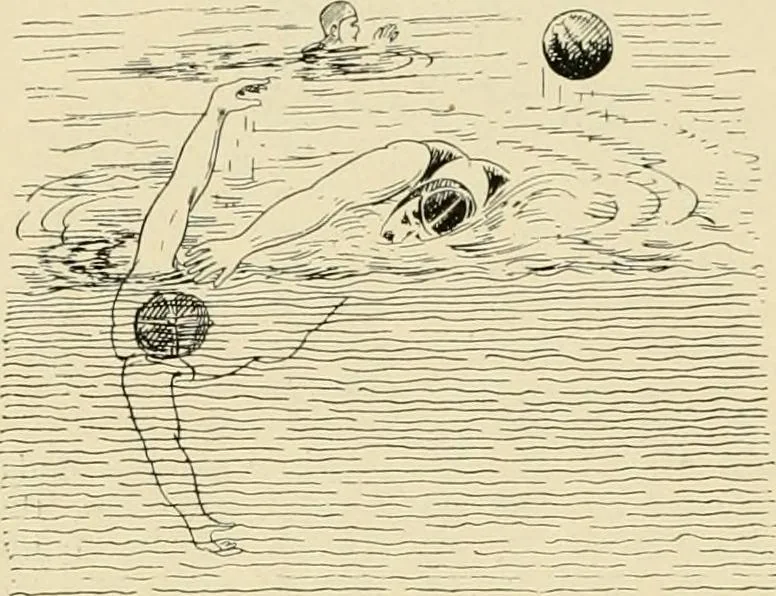 An illustration from The encyclopaedia of sport, 1897, leaf 471