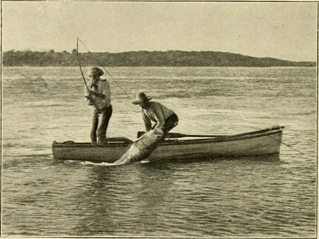 An illustration from The encyclopaedia of sport, 1897, leaf 481