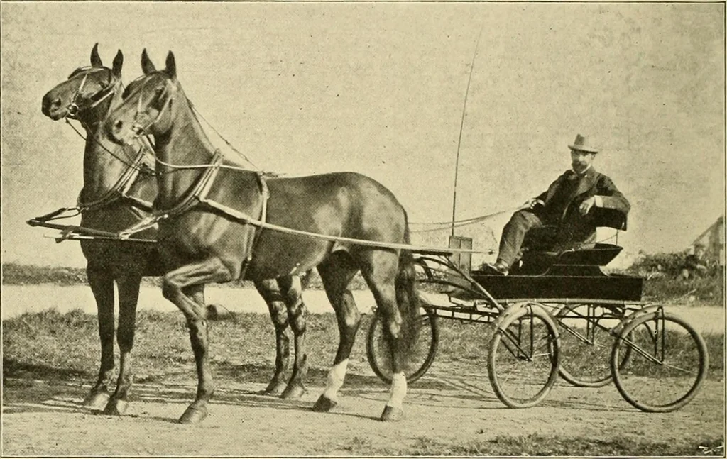An illustration from The encyclopaedia of sport, 1897, leaf 525