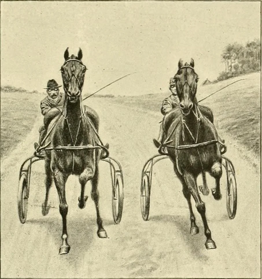 An illustration from The encyclopaedia of sport, 1897, leaf 530