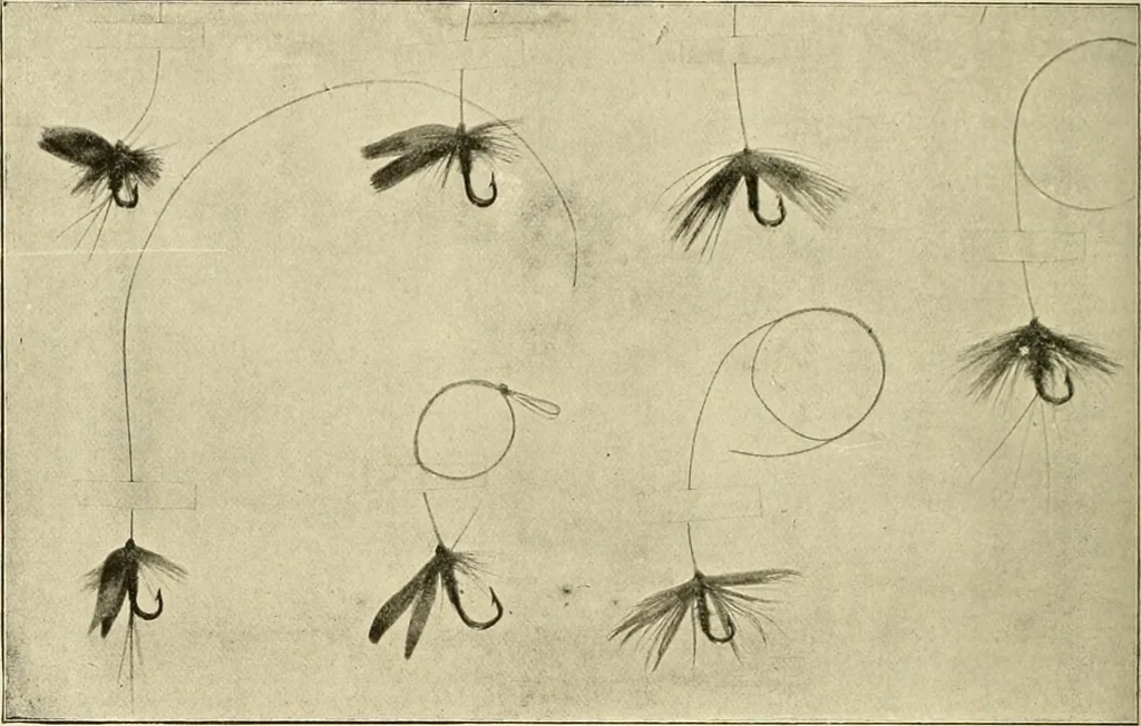 An illustration from The encyclopaedia of sport, 1897, leaf 539
