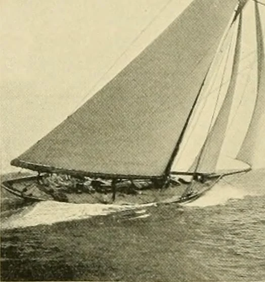 An illustration from The encyclopaedia of sport, 1897, leaf 627
