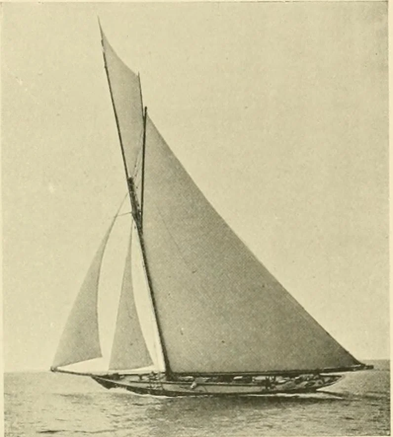 An illustration from The encyclopaedia of sport, 1897, leaf 628