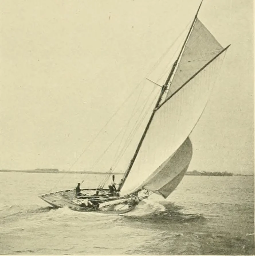 An illustration from The encyclopaedia of sport, 1897, leaf 650