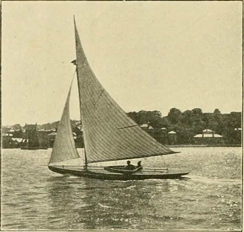 An illustration from The encyclopaedia of sport, 1897, leaf 659