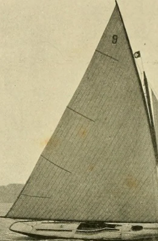 An illustration from The encyclopaedia of sport, 1897, leaf 661