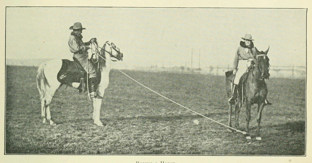 An illustration from The Encyclopædia of sport & games, 1912, leaf 155