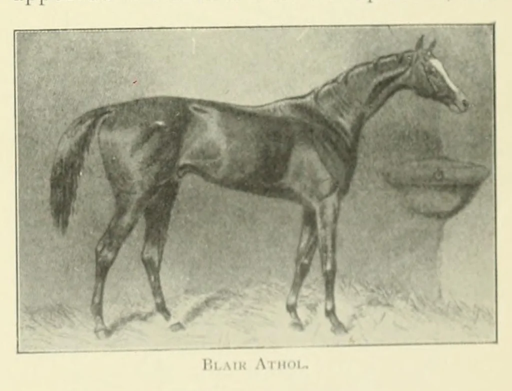An illustration from The Encyclopædia of sport & games, 1912, leaf 445