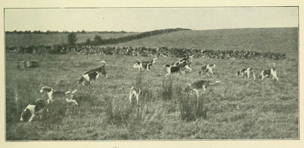 An illustration from The Encyclopædia of sport & games, 1912, leaf 45