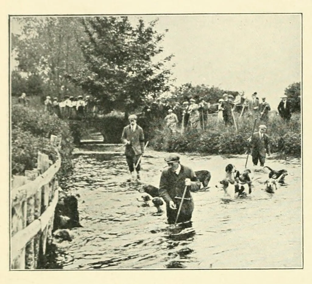 An illustration from The Encyclopædia of sport & games, 1912, leaf 76