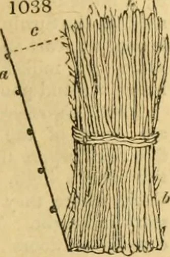 An illustration from An encyclopædia of cottage, farm, and villa architecture and furniture : containing numerous designs for dwellings from the cottage to the villa including farm houses, farmeries, and other agricultural buildings, several designs for country inns, public houses, and parochial schools, with the requisite fittings-up fixtures and furniture ; and appropriate offices, gardens and garden scenery ; each design accompanied by analytical and critical marks illustrative of the principles of archtiectural science and taste on whihc it is composed, 1836, leaf 542