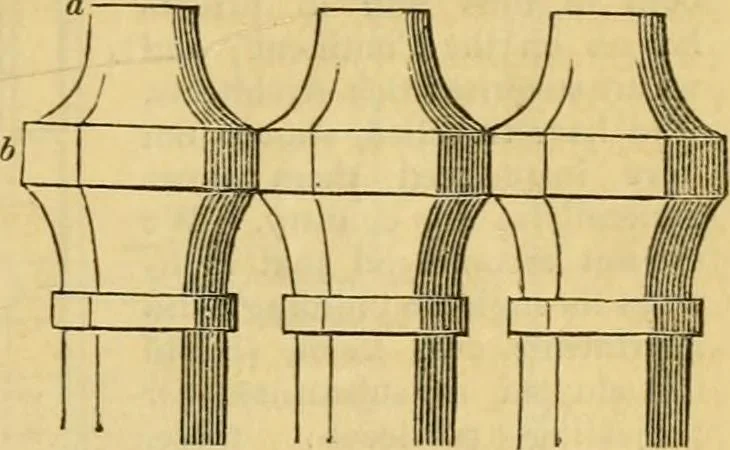 An illustration from An encyclopædia of cottage, farm, and villa architecture and furniture : containing numerous designs for dwellings from the cottage to the villa including farm houses, farmeries, and other agricultural buildings, several designs for country inns, public houses, and parochial schools, with the requisite fittings-up fixtures and furniture ; and appropriate offices, gardens and garden scenery ; each design accompanied by analytical and critical marks illustrative of the principles of archtiectural science and taste on whihc it is composed, 1836, leaf 708