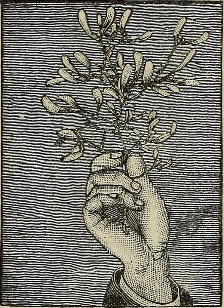 An illustration from An encyclopædia of freemasonry and its kindred sciences .., 1894, leaf 1016