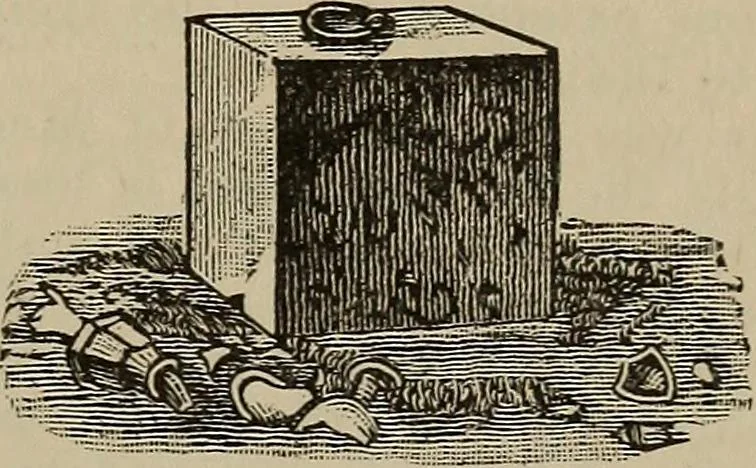 An illustration from An encyclopædia of freemasonry and its kindred sciences .., 1894, leaf 1025