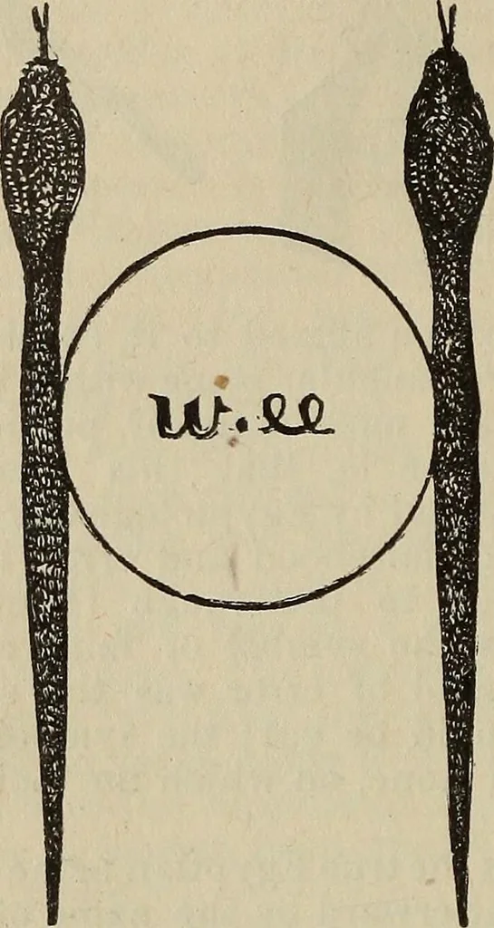 An illustration from An encyclopædia of freemasonry and its kindred sciences .., 1894, leaf 1028