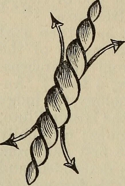 An illustration from An encyclopædia of freemasonry and its kindred sciences .., 1894, leaf 1058