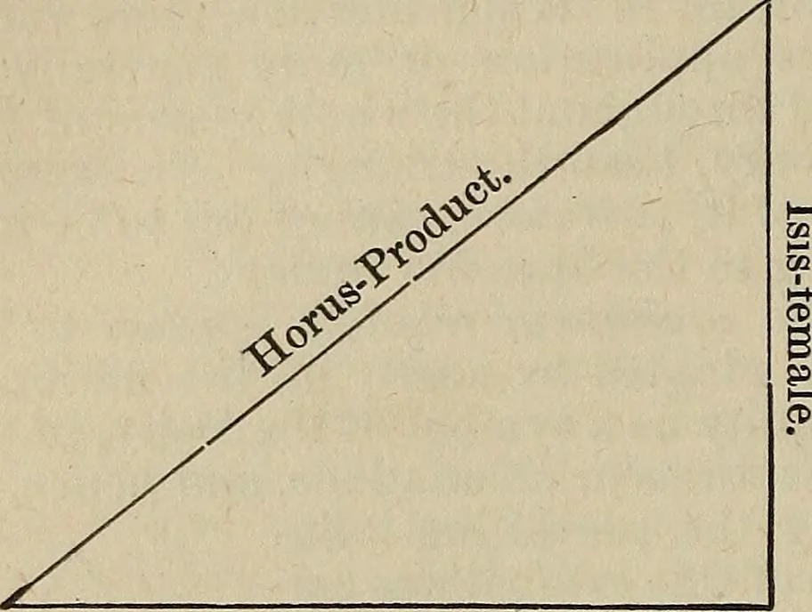 An illustration from An encyclopædia of freemasonry and its kindred sciences .., 1894, leaf 842