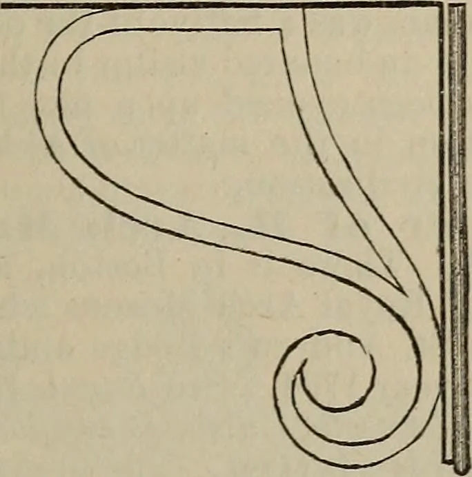 An illustration from An encyclopædia of freemasonry and its kindred sciences .., 1894, leaf 971