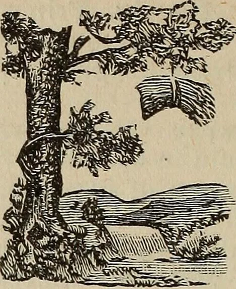 An illustration from An encyclopædia of freemasonry and its kindred sciences .., 1894, leaf 990