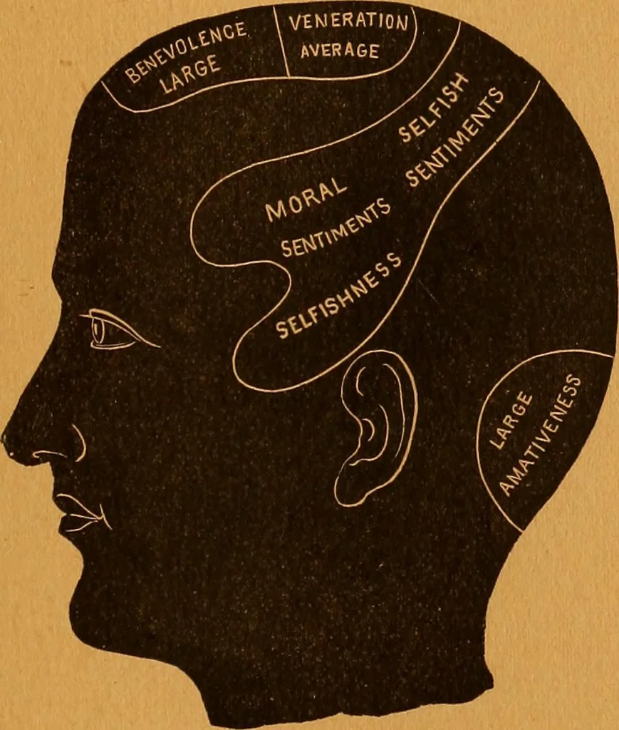An illustration from Encyclopædia of human nature and physiognomy .., 1889, leaf 347
