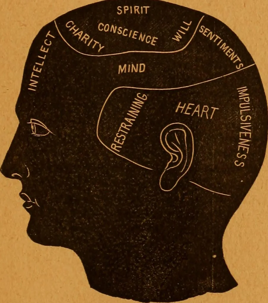 An illustration from Encyclopædia of human nature and physiognomy .., 1889, leaf 363