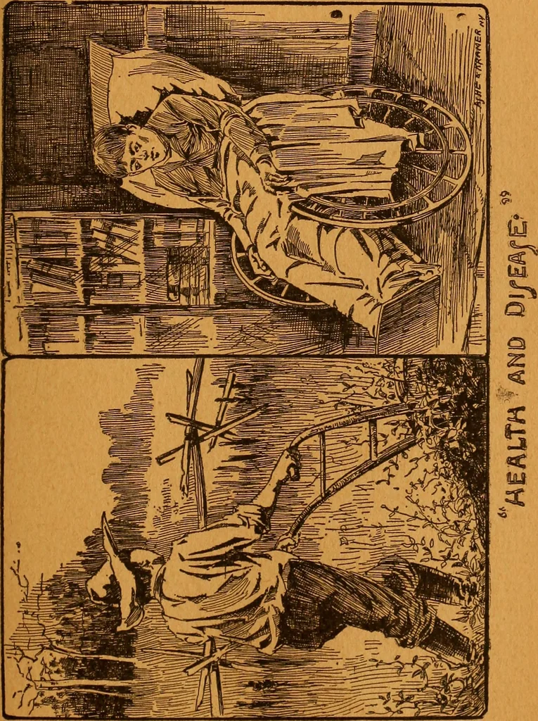 An illustration from Encyclopædia of human nature and physiognomy .., 1889, leaf 451