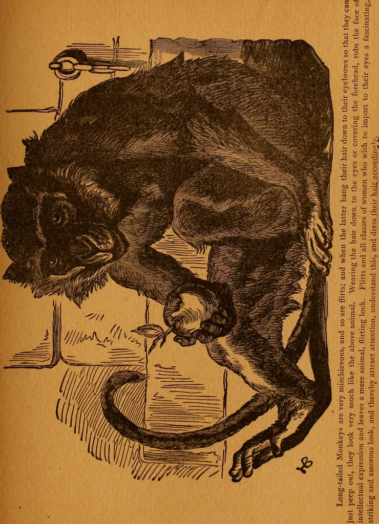 An illustration from Encyclopædia of human nature and physiognomy .., 1889, leaf 513