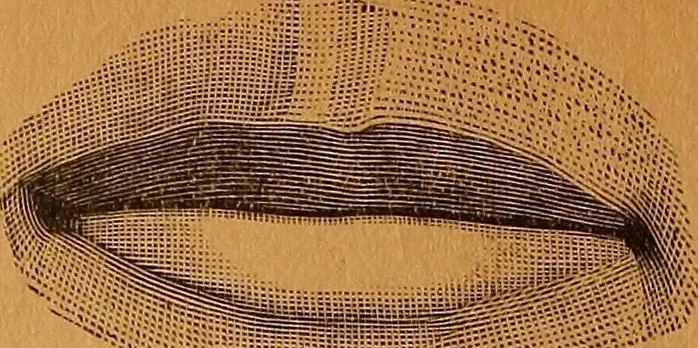 An illustration from Encyclopædia of human nature and physiognomy .., 1889, leaf 54