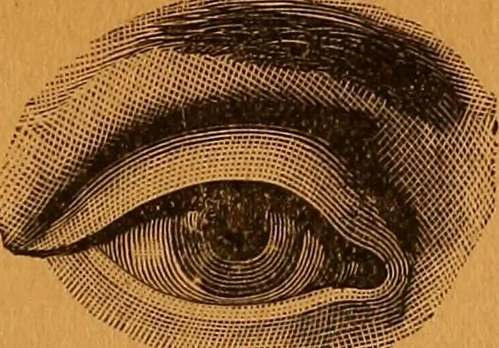 An illustration from Encyclopædia of human nature and physiognomy .., 1889, leaf 591