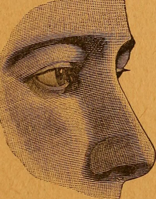 An illustration from Encyclopædia of human nature and physiognomy .., 1889, leaf 633
