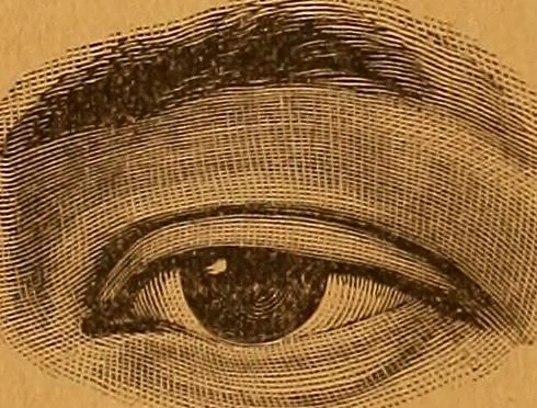 An illustration from Encyclopædia of human nature and physiognomy .., 1889, leaf 67
